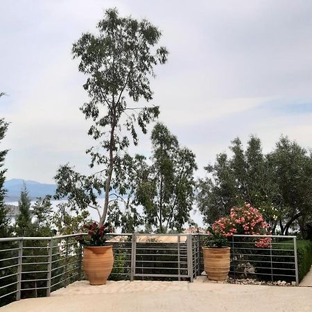 Stone House In Olive Grove Villa Tolón Buitenkant foto
