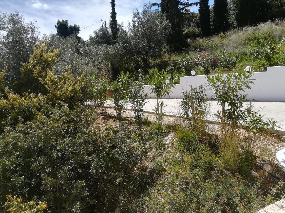 Stone House In Olive Grove Villa Tolón Buitenkant foto