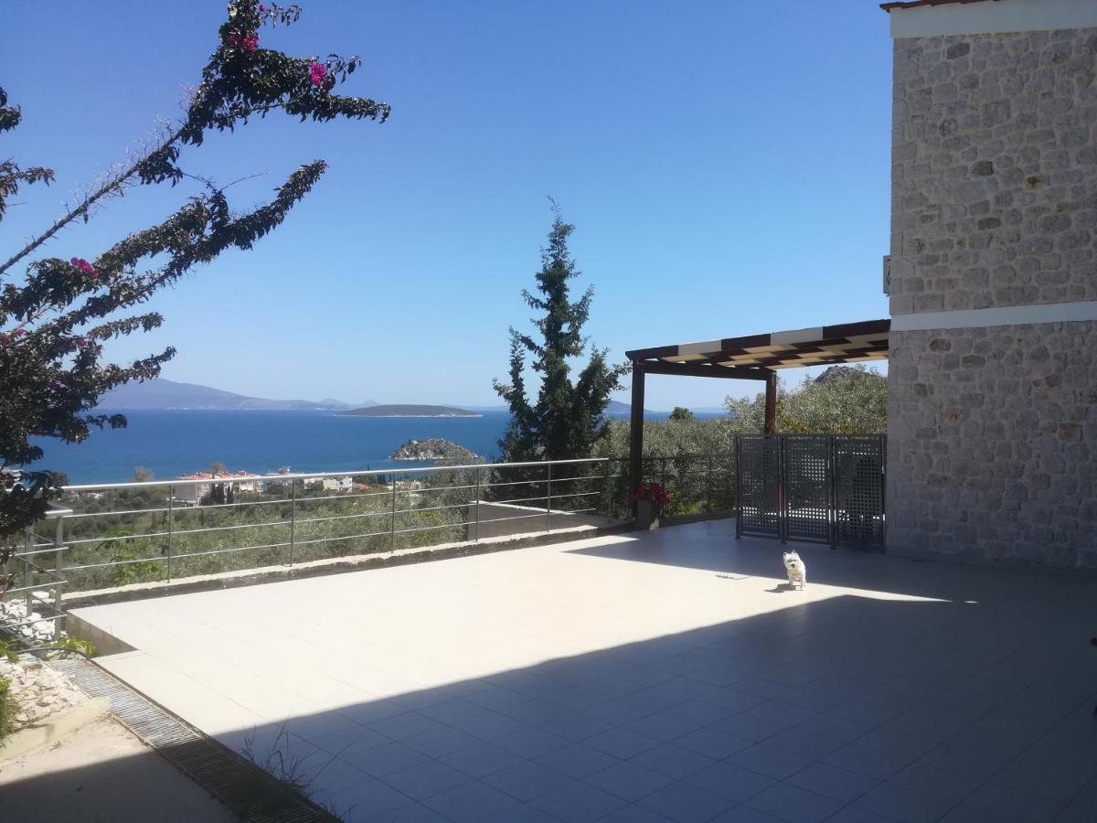 Stone House In Olive Grove Villa Tolón Buitenkant foto