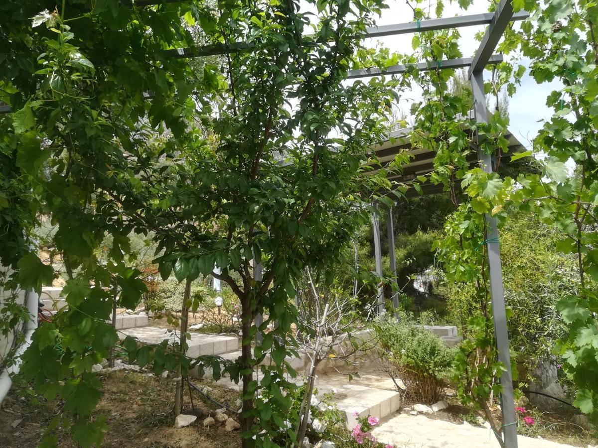 Stone House In Olive Grove Villa Tolón Buitenkant foto