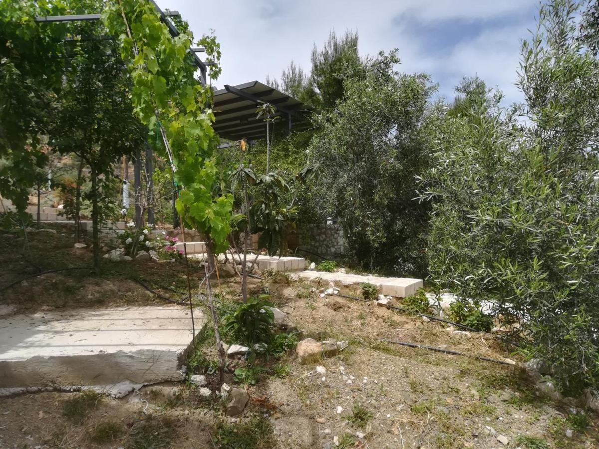 Stone House In Olive Grove Villa Tolón Buitenkant foto