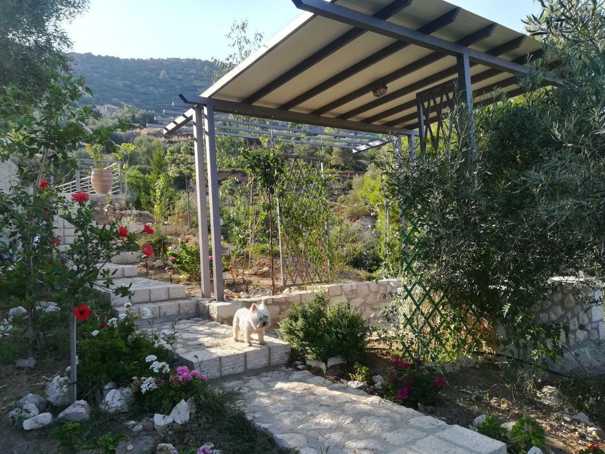 Stone House In Olive Grove Villa Tolón Buitenkant foto