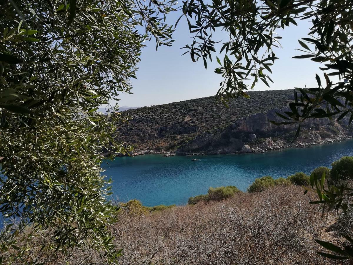 Stone House In Olive Grove Villa Tolón Buitenkant foto