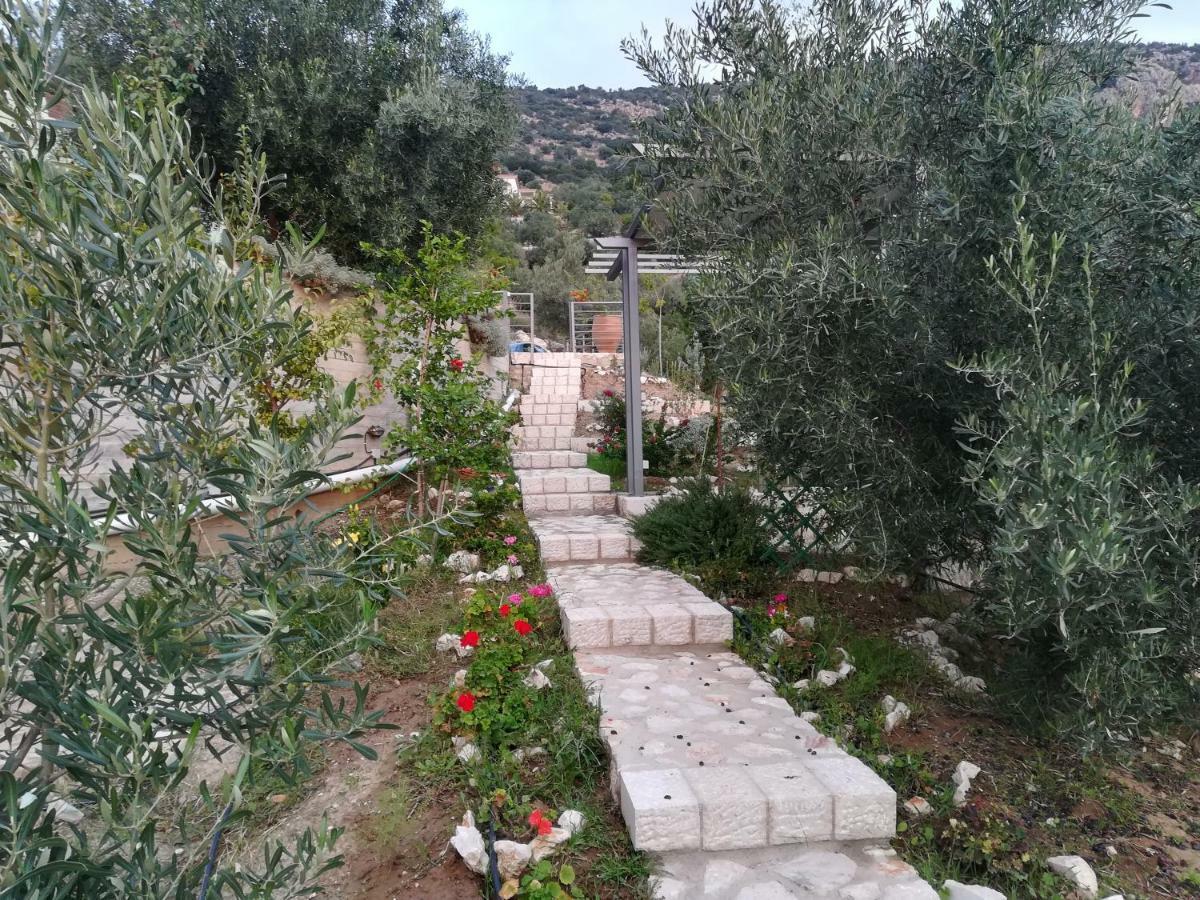 Stone House In Olive Grove Villa Tolón Buitenkant foto