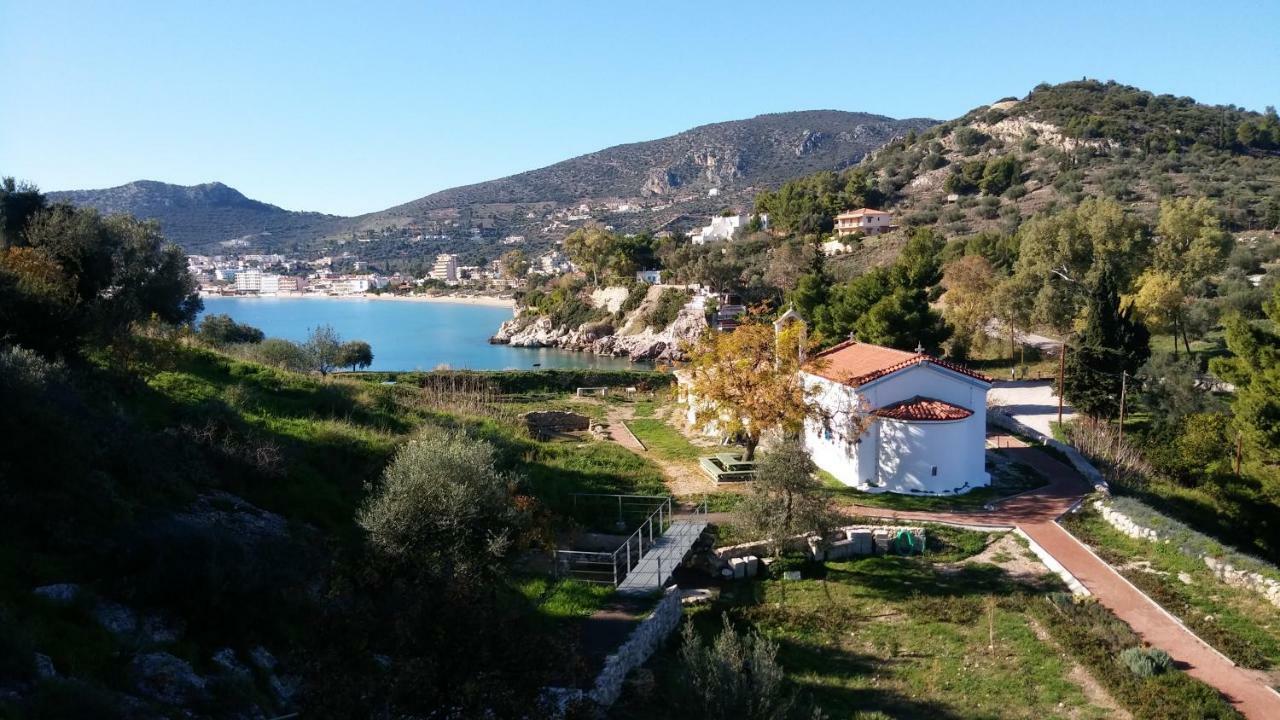 Stone House In Olive Grove Villa Tolón Buitenkant foto
